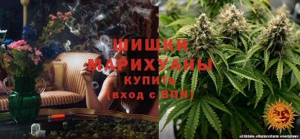 винт Алексин
